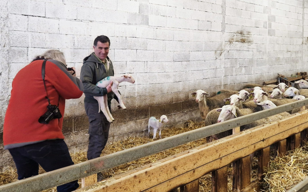 Des éleveurs fiers de leur AOP