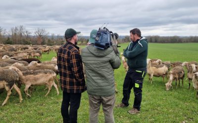 Les journalistes de France 3 Occitanie Corentin BELARD et Luc TAZELMATI se sont rendus sur la ferme d’ Anthony SOULIE